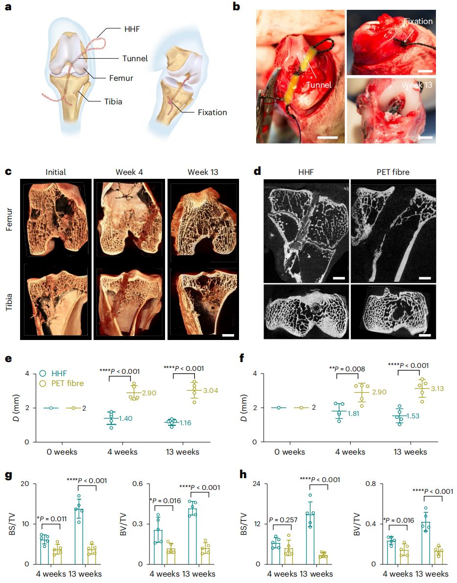 彭慧勝教授，2023年首篇Nature Nanotechnology！