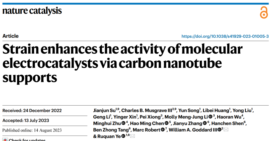 【GC-DFT+實驗】葉汝全團隊Nature Catalysis：給單原子催化劑施加一點應變，效果更好！