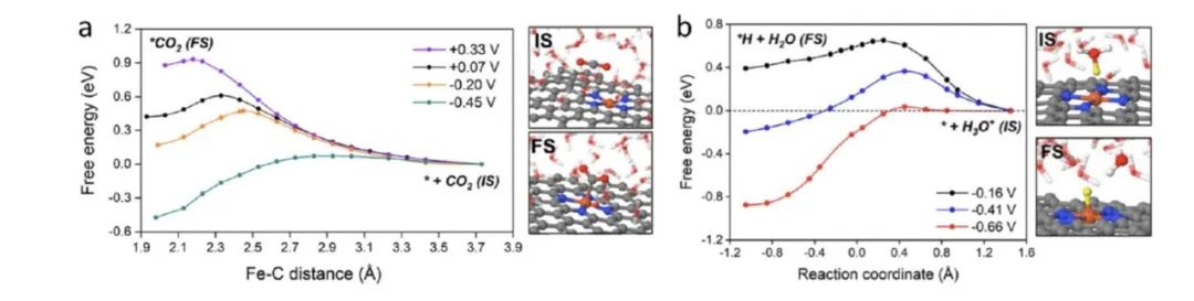 南方科技大學王陽剛課題組Acc. Chem. Res.綜述：單原子電催化劑界面的動態機制