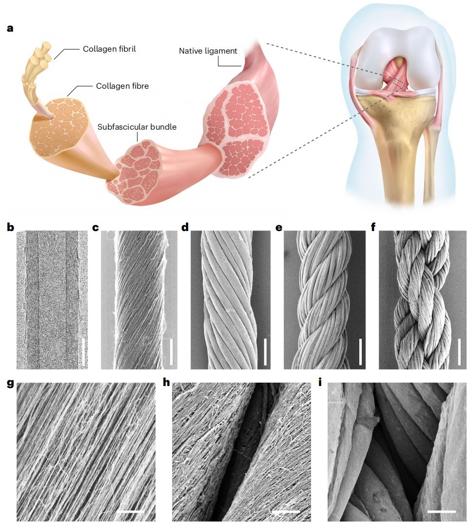 彭慧勝教授，2023年首篇Nature Nanotechnology！