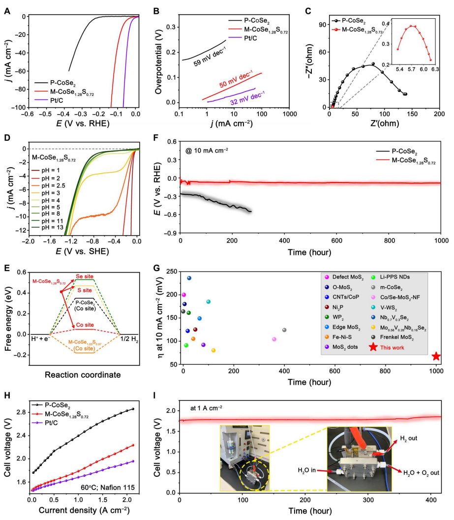中科大高敏銳：最新Science子刊！
