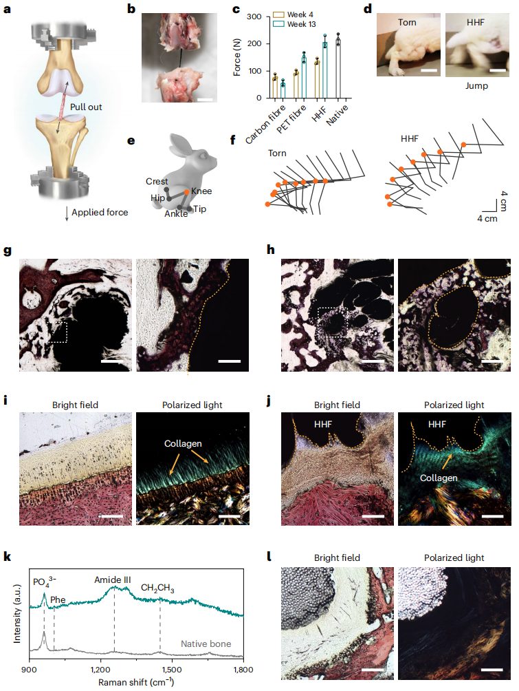 彭慧勝教授，2023年首篇Nature Nanotechnology！