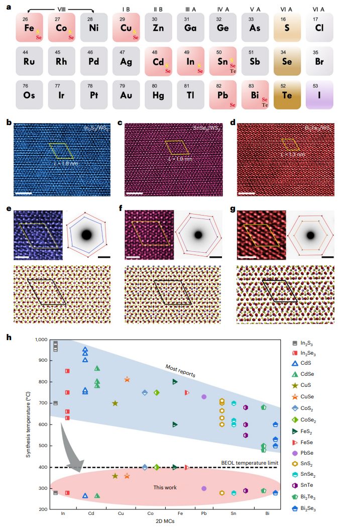 投稿到接收僅半年！廣工大黃少銘課題組最新Nature Nanotechnology！