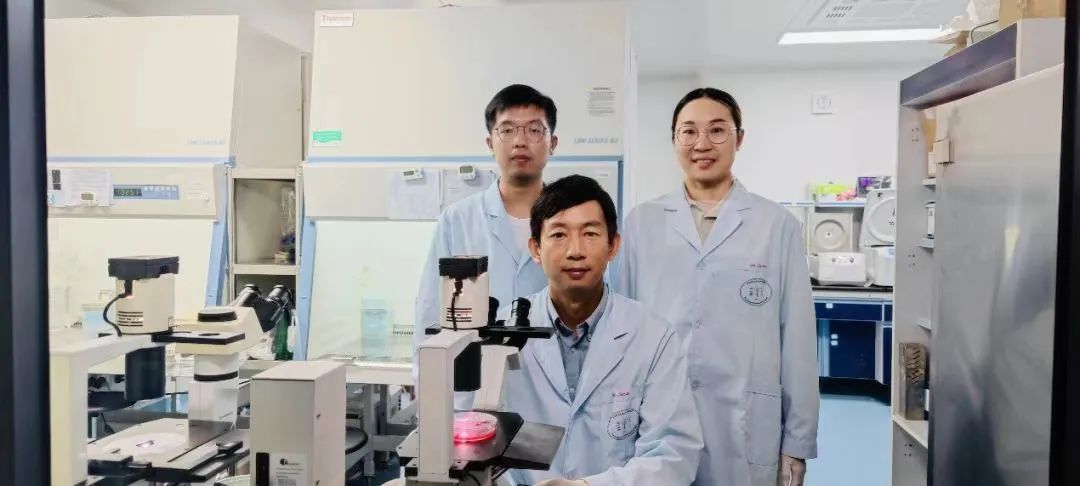 強！博士生一作發(fā)4篇Nature子刊！