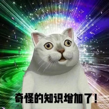 全球被引最多的科學家之一，要被停薪留職13年？