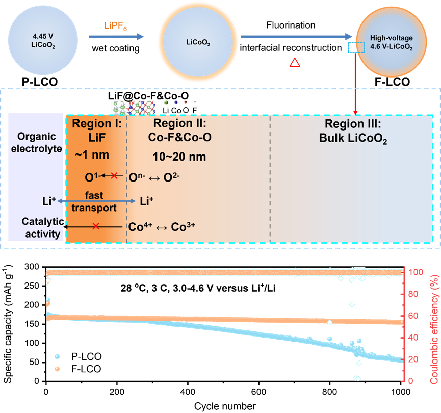 北京大學潘鋒教授團隊2023年在電池領域的代表性研究成果