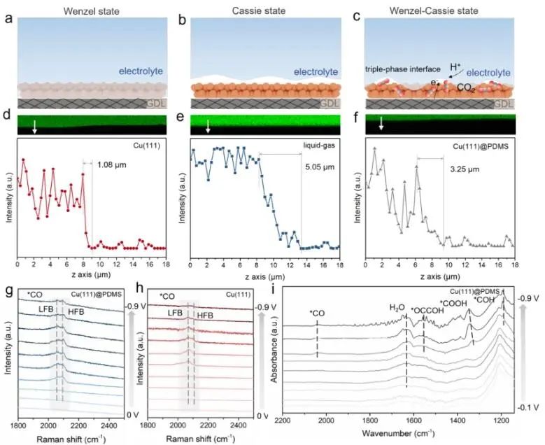 ?西安交通大學ACS Catalysis：強氫鍵界面水抑制HER動力學，促進電化學CO2還原為C2+
