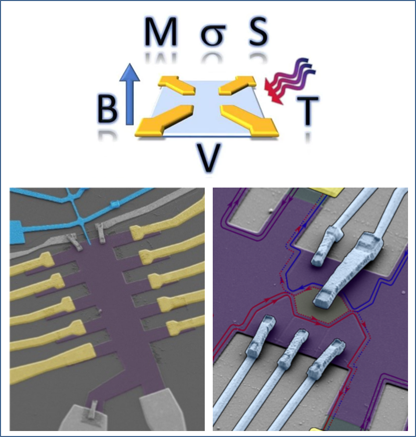 探測籠目AV3Sb5輸運的又一維度