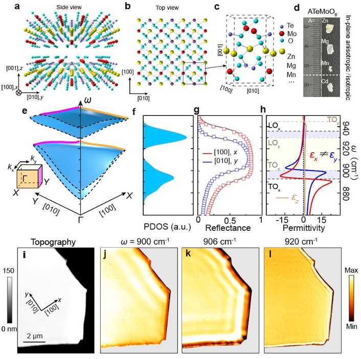 Nat Nanotech：華中科大李培寧/中國科學院福建物構所趙三根等發展系列各向異性二維材料，實現定向的光子與聲子耦合傳播