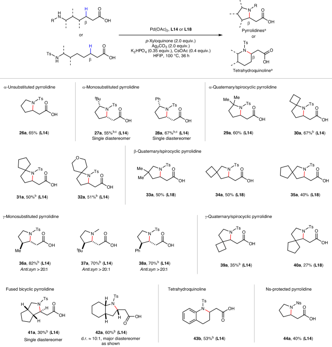 余金權，今日最新Nature Synthesis！