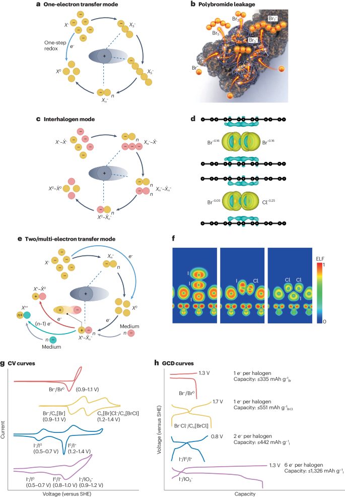 支春義/李新亮，最新Nature Reviews Chemistry！