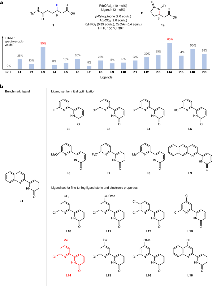 余金權，今日最新Nature Synthesis！
