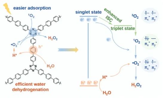 ?石大AFM: 三苯基功能化共價三嗪聚合物立大功！實現高效H2O2光合成