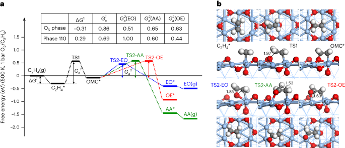 復旦大學劉智攀團隊Nature Catalysis：揭示銀催化劑的神秘面紗：乙烯高效轉化新篇章！
