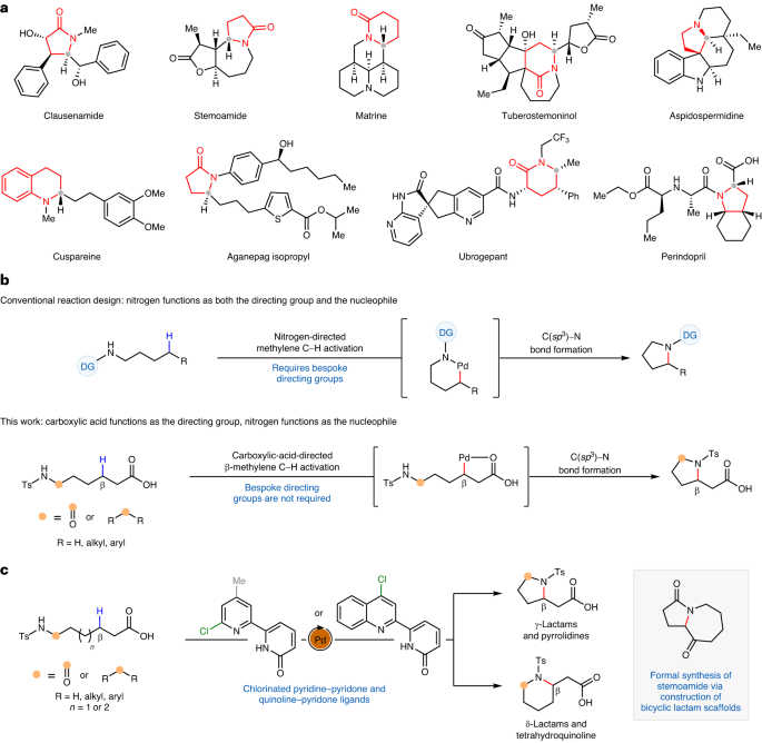 余金權，今日最新Nature Synthesis！