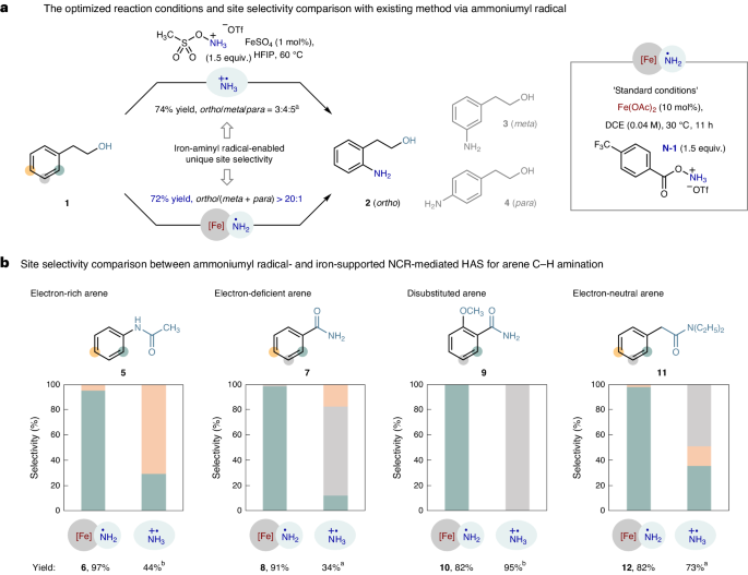 南開大學Nature Catalysis: 鐵-氨基自由基實現高選擇性芳烴C-H胺化反應