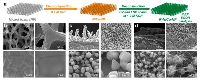 ?ACS Catalysis：泡沫Ni上沉積Cu，促進催化劑重構(gòu)來增強PET電化學(xué)重整