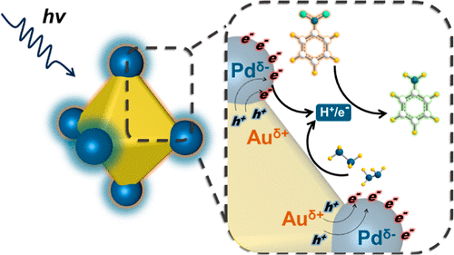廈門大學ACS Catalysis: 位點選擇性雙金屬異質納米結構，實現高效光催化硝基苯加氫反應