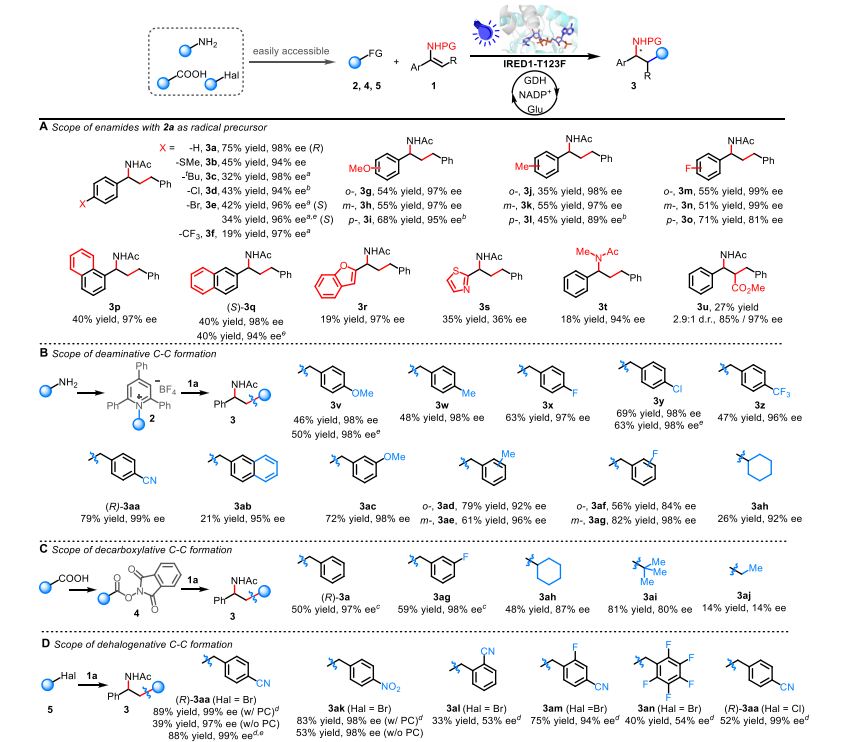 廈大王斌舉/南大黃小強，最新JACS！
