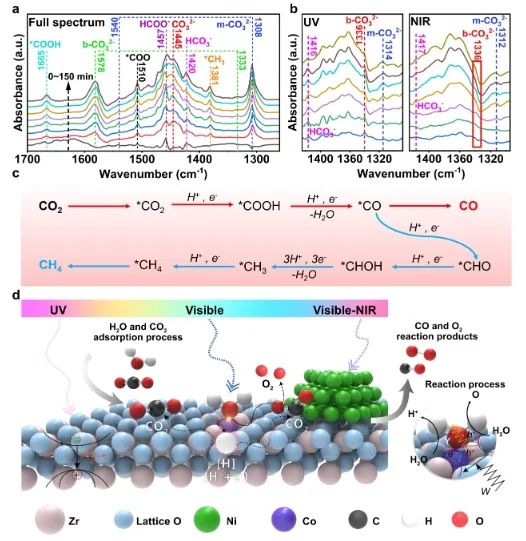 ?東南/西交ACS Nano: Ni-Co/ZrO2-VO上發(fā)生強(qiáng)光熱耦合，促進(jìn)光催化CO2還原