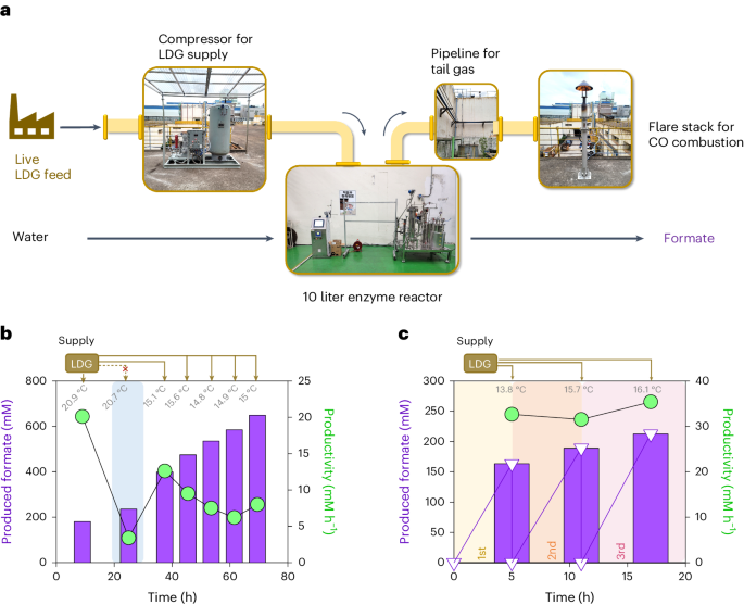 Nature Chemical Engineering：100%選擇性，工業(yè)廢氣合成摩爾級甲酸鹽！