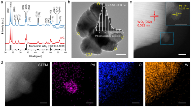 2023新晉中科院院士，最新JACS！