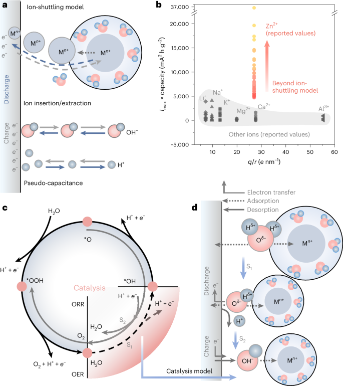 強強聯(lián)合！麥立強/陸俊等，最新Nature Catalysis：快充長壽命水系鋅離子電池！