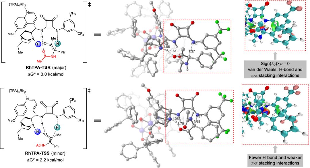 南開大學周其林院士，最新Nature子刊！
