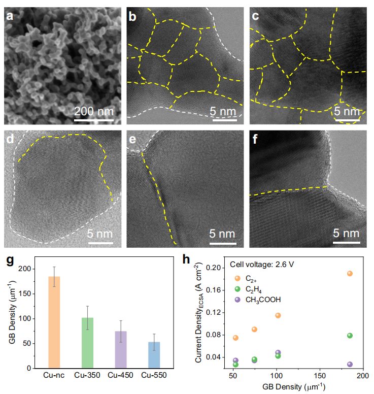 大連化物所汪國雄&高敦峰，最新Nature子刊！