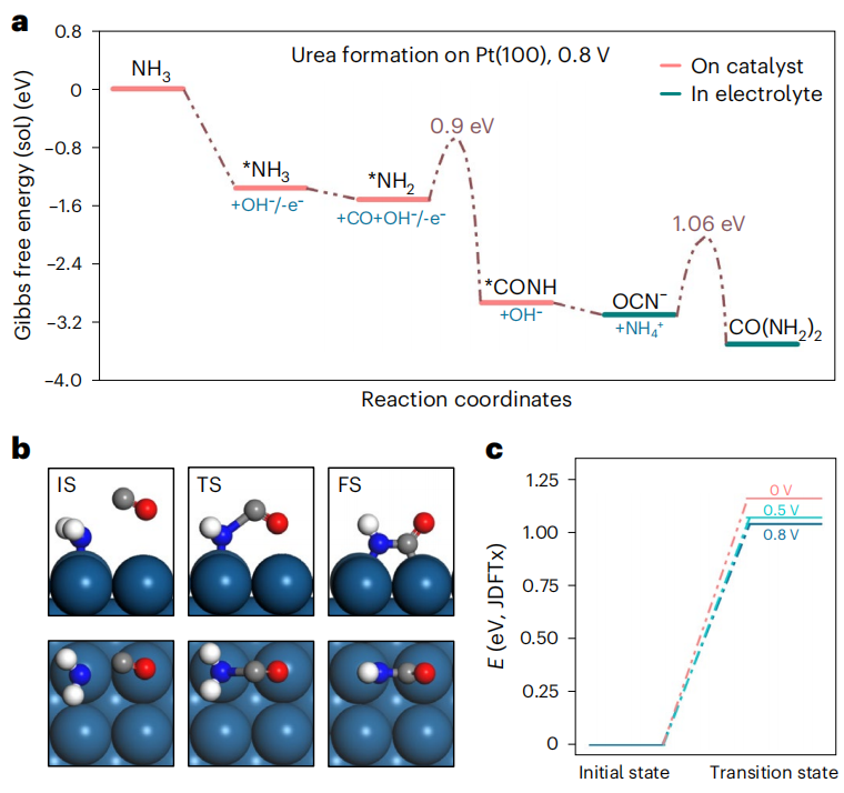 陸奇/徐冰君/程濤，最新Nature Catalysis！