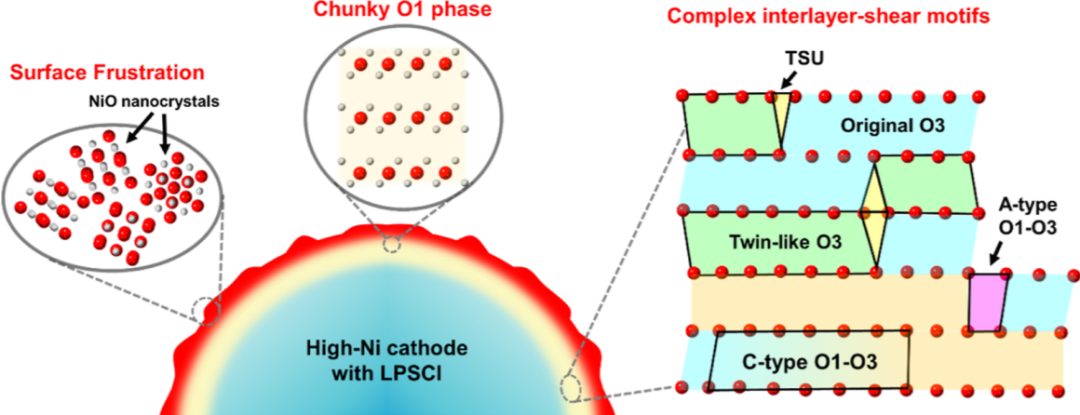 他，把電鏡做到極致，發表最新JACS!