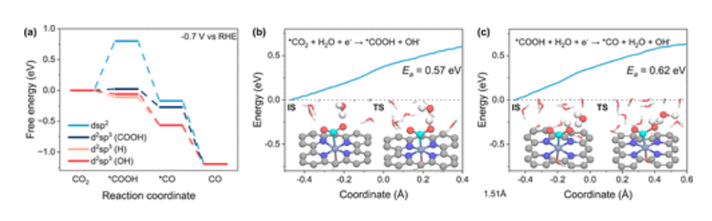 東南大學王金蘭/凌崇益，最新JACS！