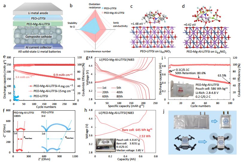 哈工大王家鈞，最新Nature子刊！固態電池技術開辟新紀元！