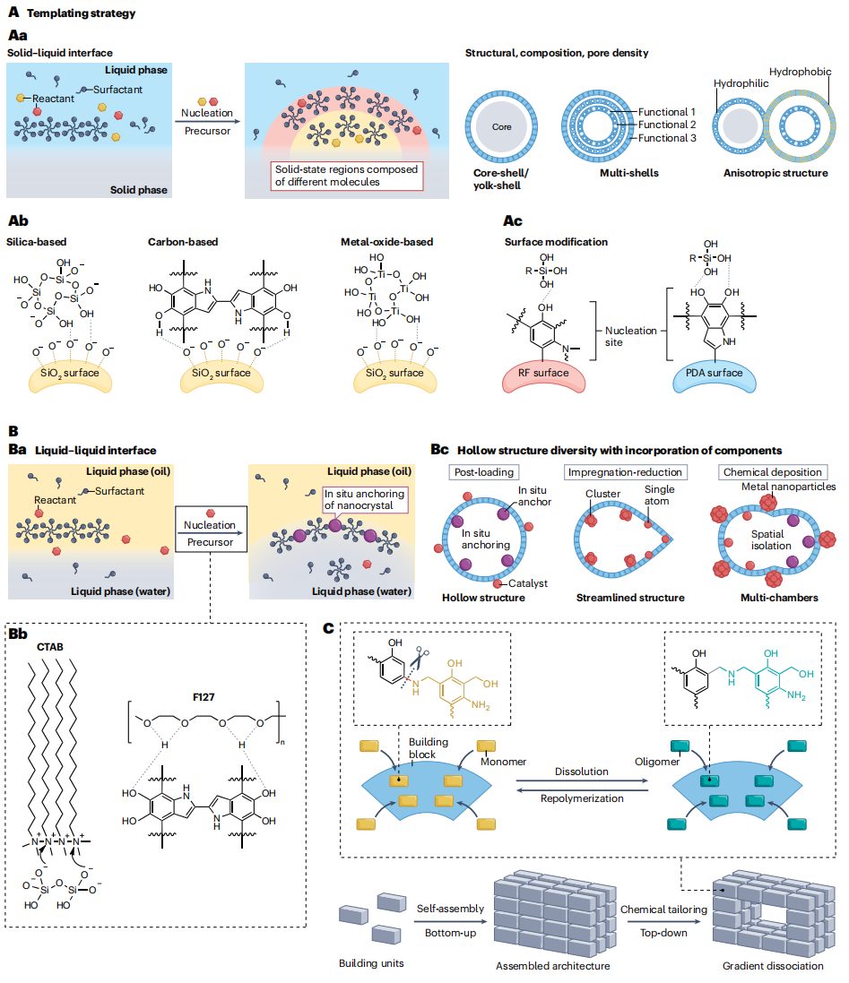 打破校史！“筑巢引鳳”，這所雙一流大學(xué)，迎來首篇Nature Reviews Chemistry封面文章！