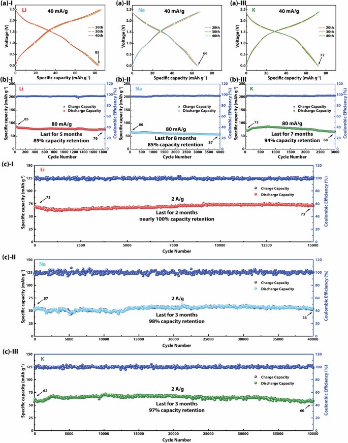 1.5W次，近100%！電子科大&長虹電器，最新電池Nature子刊！