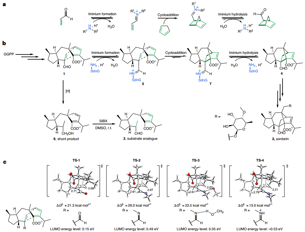 牛！他，發完Nature不到10天，聯手中科院「國家高層次人才」，再發Nature Catalysis！