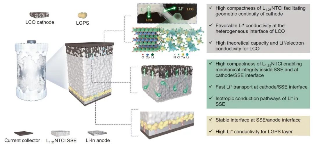 ?-60℃極低溫固態電池！博士生一作！北大深研院，Nature子刊！