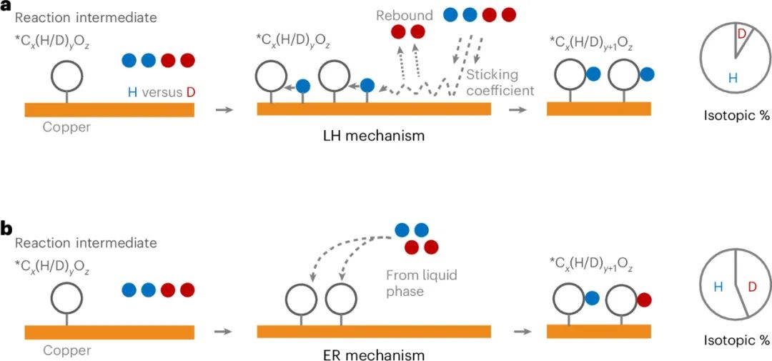 他，NUS杰出青年科學家，聯手Edward H. Sargent高徒，新發Nature Chemistry！